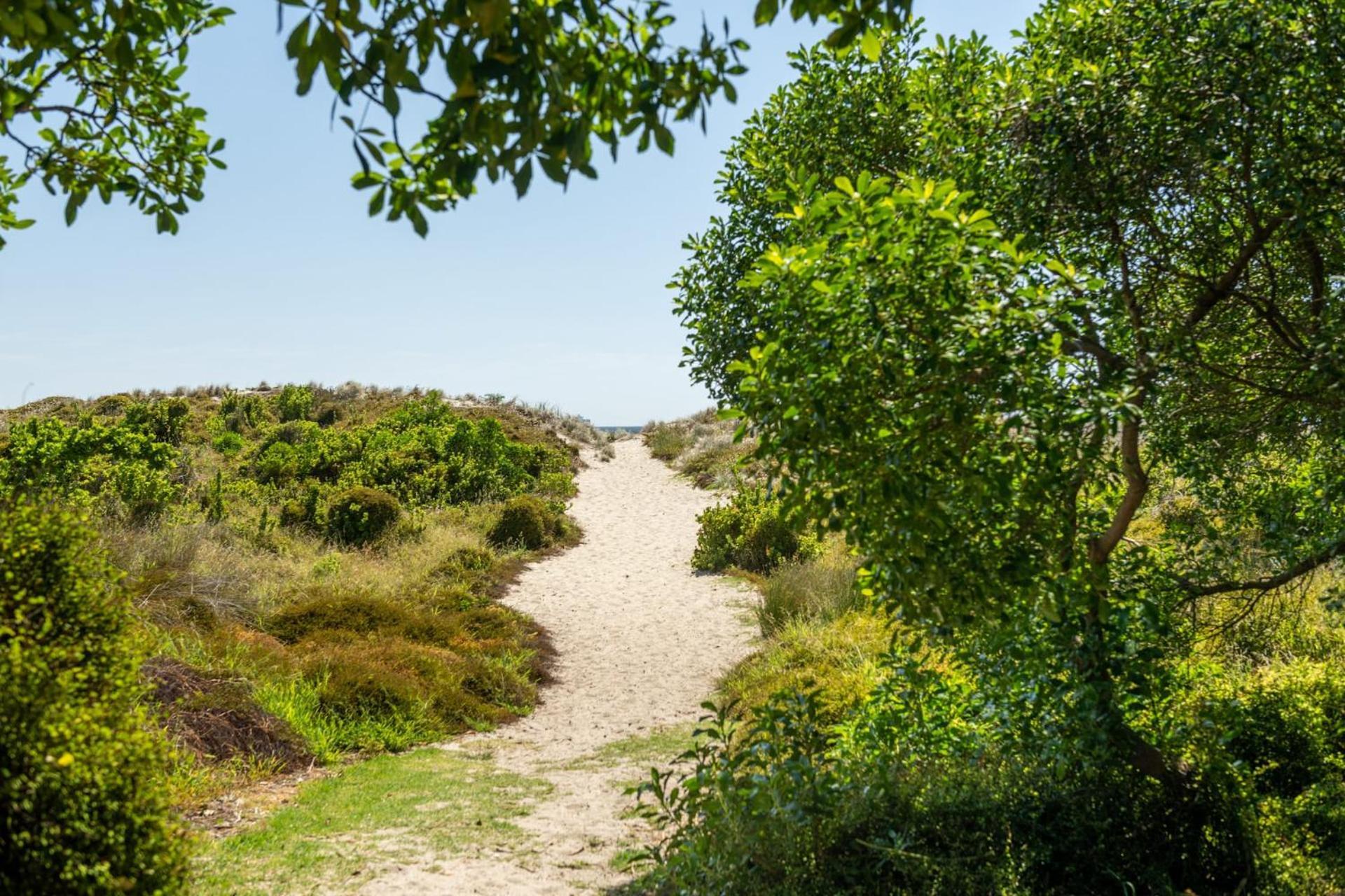 Ocean Beach Getaway Mount Maunganui Kültér fotó
